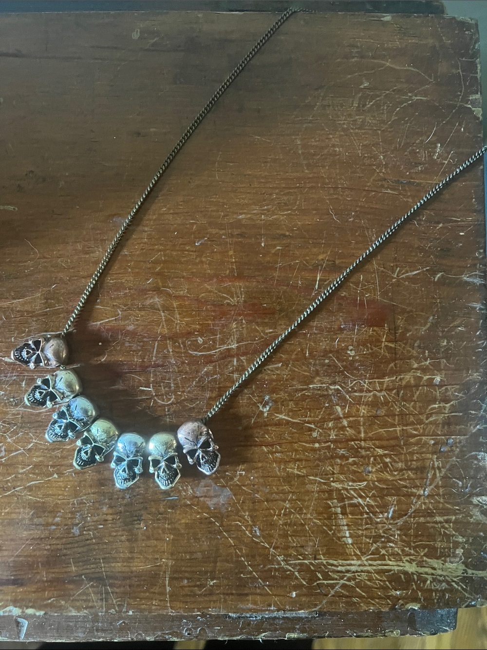 Men's Skull Charm Necklace in Silver Tone